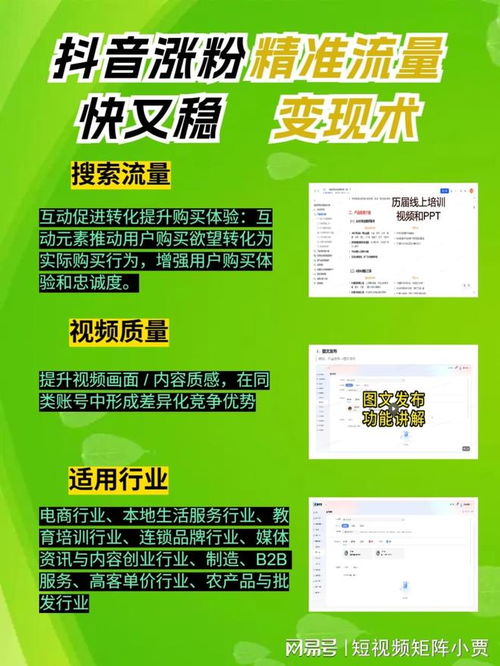 石家庄信赢科技 专业新媒体推广与引流方案，助力企业精准触达目标客户